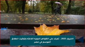 الخريف 2025.. تعرف على الظواهر الجوية اللافتة وتوقيت انطلاق الموسم في مصر